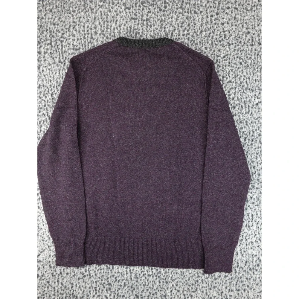 Banana Republic Sweater Mens M Purple Merino Wool Filpucci Italian Yarn 722729